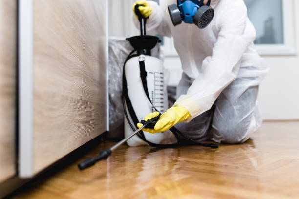 Best Pest Control Near Me in Manti, UT