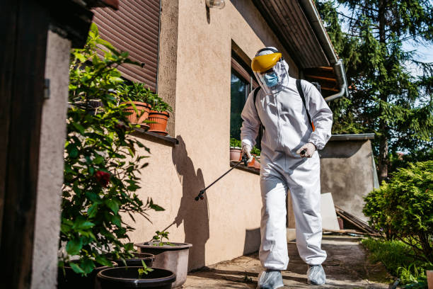 Best Flea Control Services  in Manti, UT