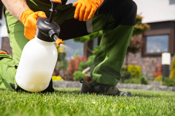 Best Mosquito Control Services  in Manti, UT