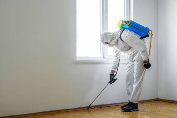 Trusted Manti, UT Pest Control Experts