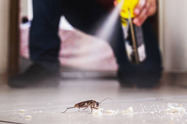Manti, UT Pest Control Company