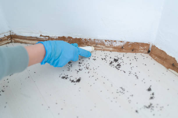 Best Commercial Pest Control Services  in Manti, UT